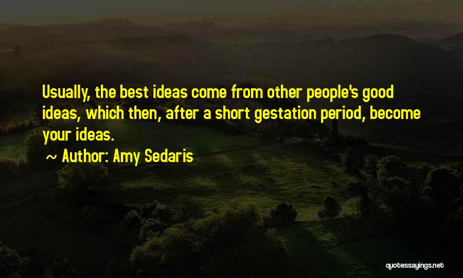 Amy Sedaris Quotes 1431692