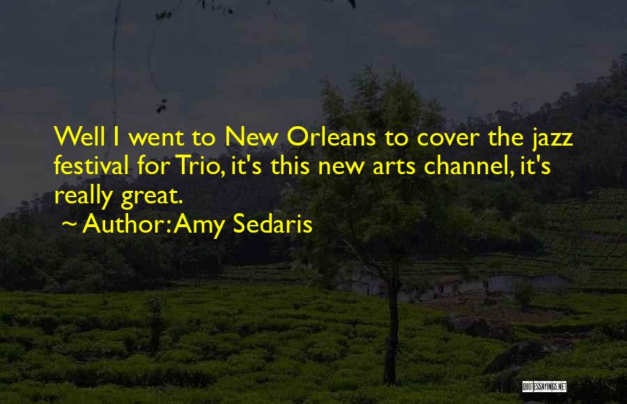 Amy Sedaris Quotes 2154082