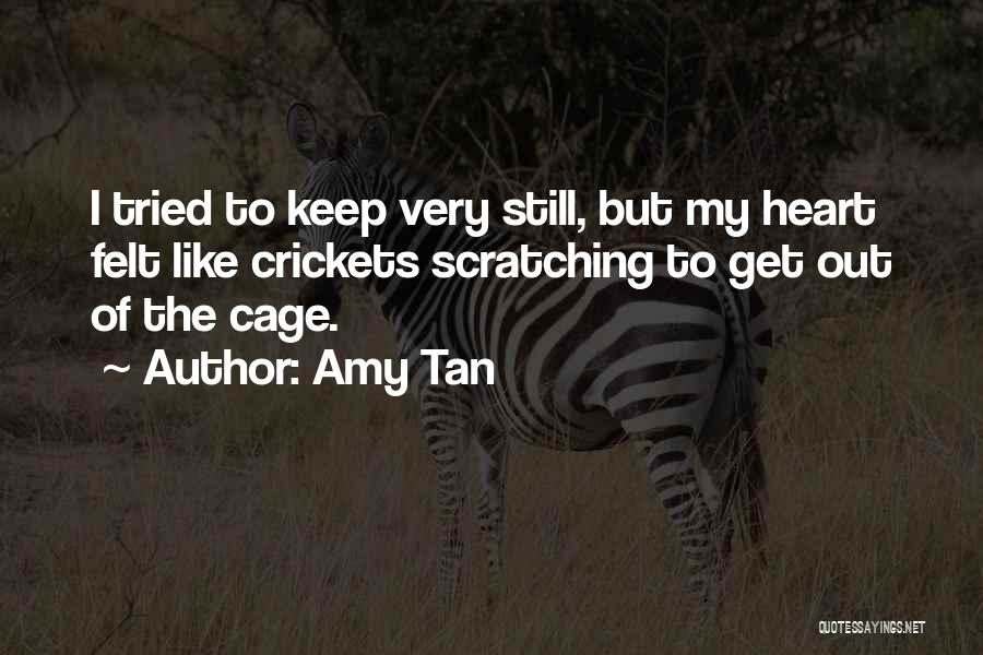 Amy Tan Quotes 1187423