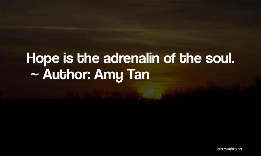 Amy Tan Quotes 1672575