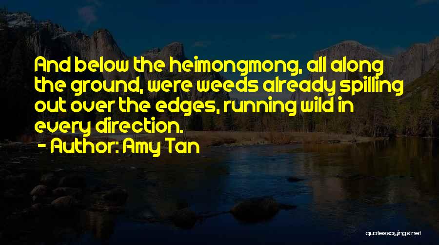 Amy Tan's Quotes By Amy Tan