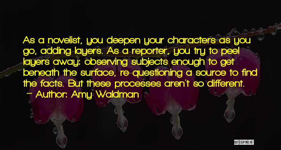 Amy Waldman Quotes 1551203