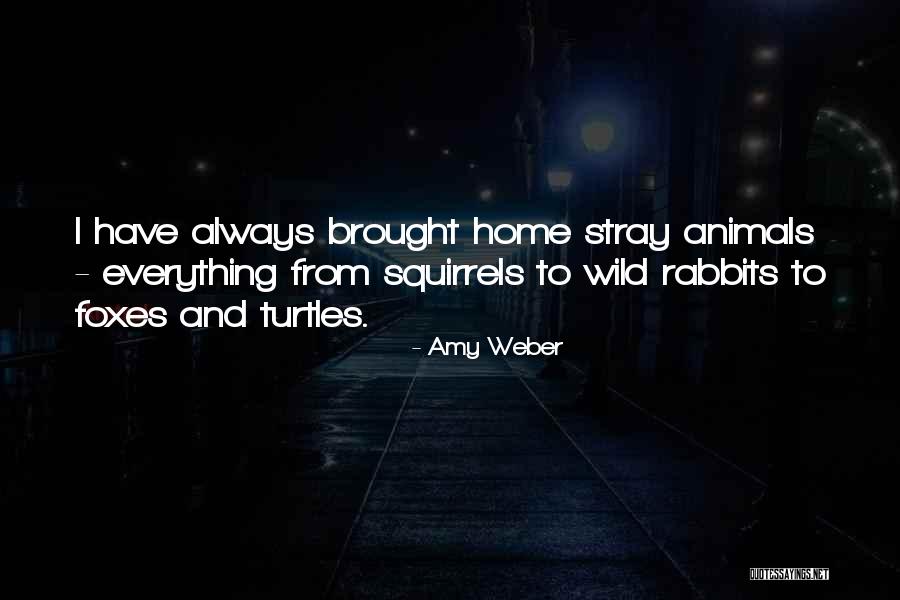 Amy Weber Quotes 1214295