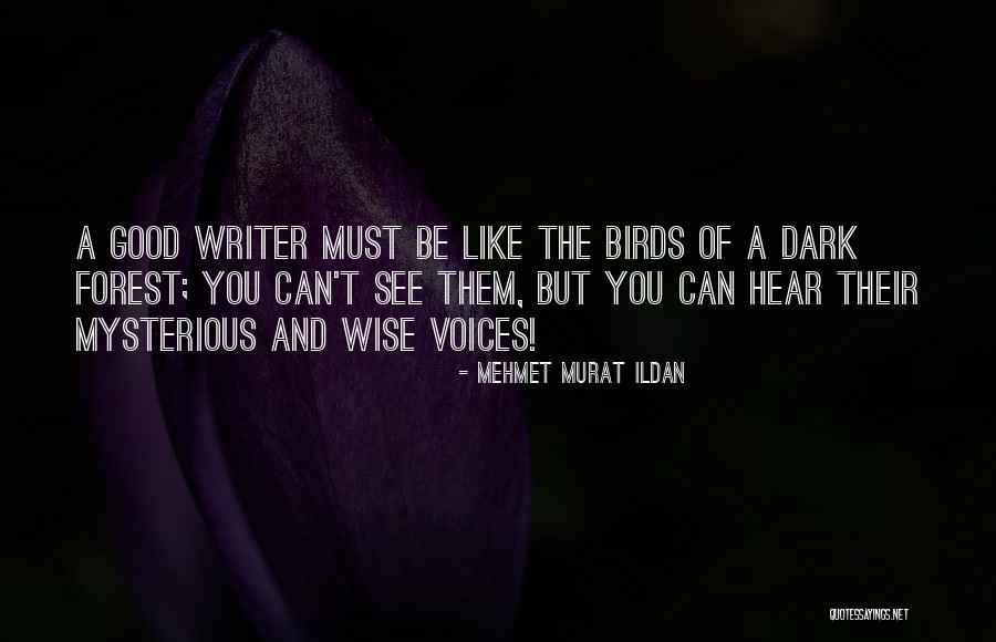 Amydst Quotes By Mehmet Murat Ildan Amydst Quotes By Mehmet Murat Ildan