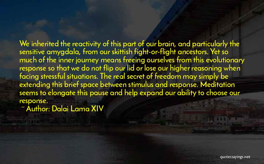 Amygdala Quotes By Dalai Lama XIV