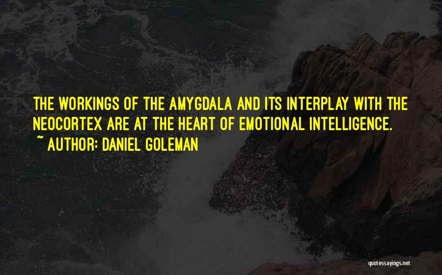 Amygdala Quotes By Daniel Goleman