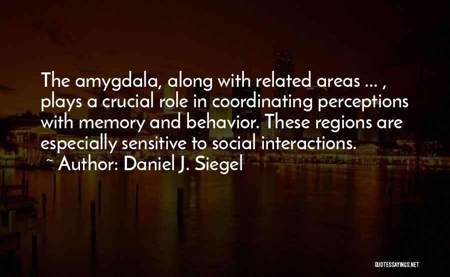 Amygdala Quotes By Daniel J. Siegel