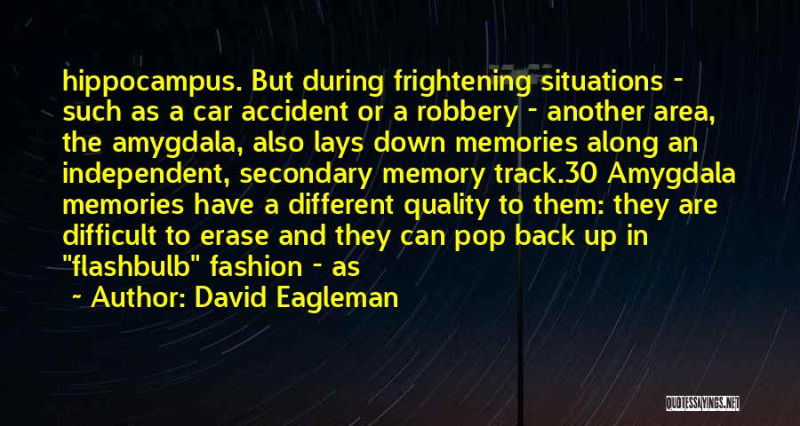 Amygdala Quotes By David Eagleman