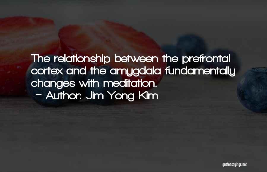 Amygdala Quotes By Jim Yong Kim