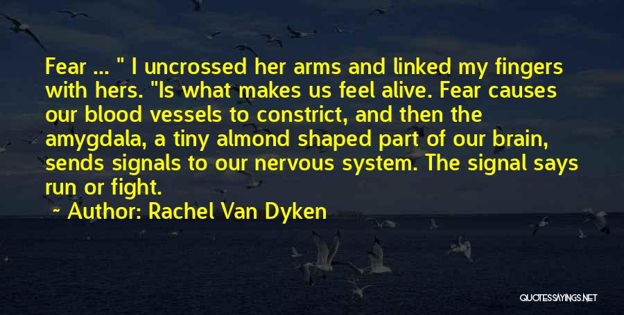 Amygdala Quotes By Rachel Van Dyken