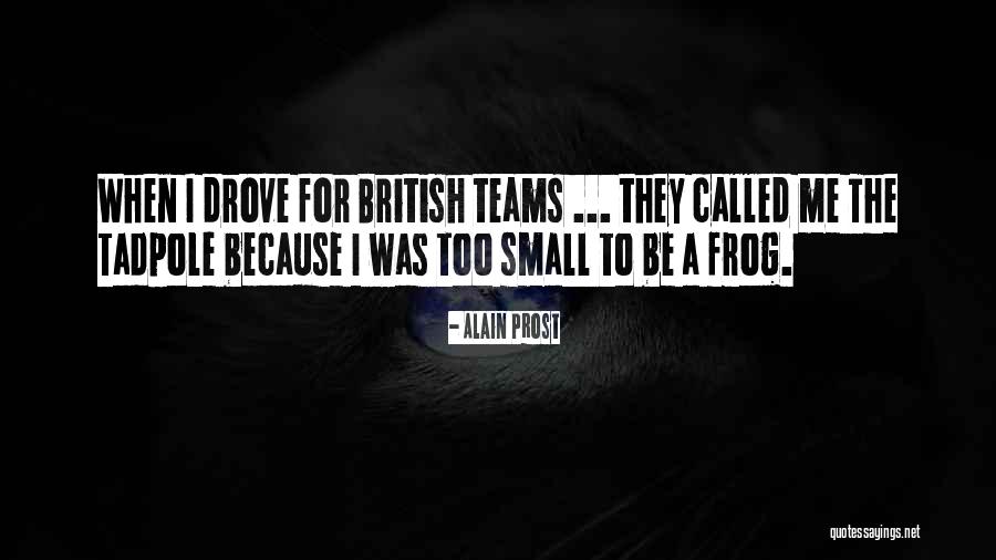 Amyraldianism Quotes By Alain Prost Amyraldianism Quotes By Alain Prost