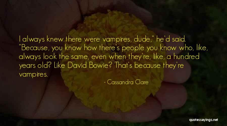 Amys Pizza Quotes By Cassandra Clare Amys Pizza Quotes By Cassandra Clare
