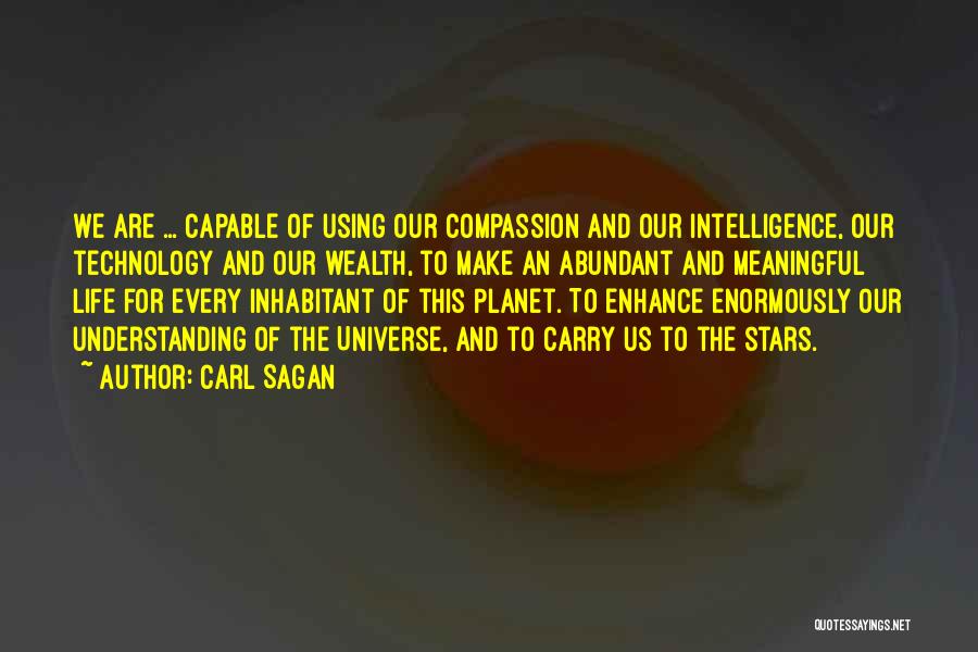 An Abundant Life Quotes By Carl Sagan