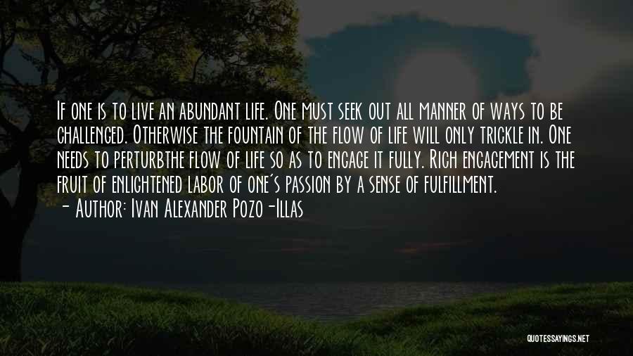 An Abundant Life Quotes By Ivan Alexander Pozo-Illas