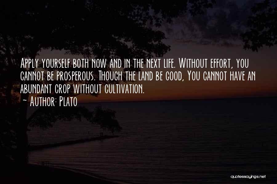An Abundant Life Quotes By Plato
