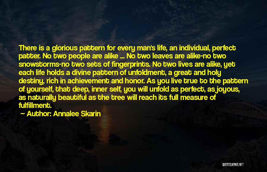 An Achievement Quotes By Annalee Skarin