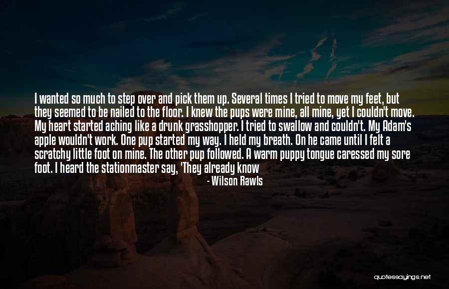 An Aching Heart Quotes By Wilson Rawls An Aching Heart Quotes By Wilson Rawls