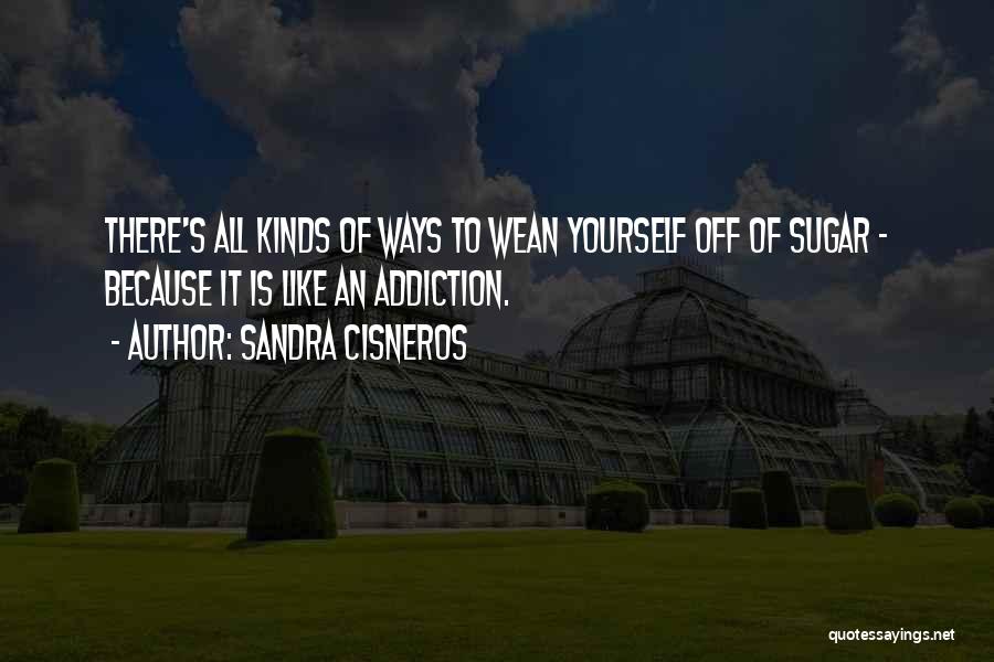 An Addiction To Someone Quotes By Sandra Cisneros