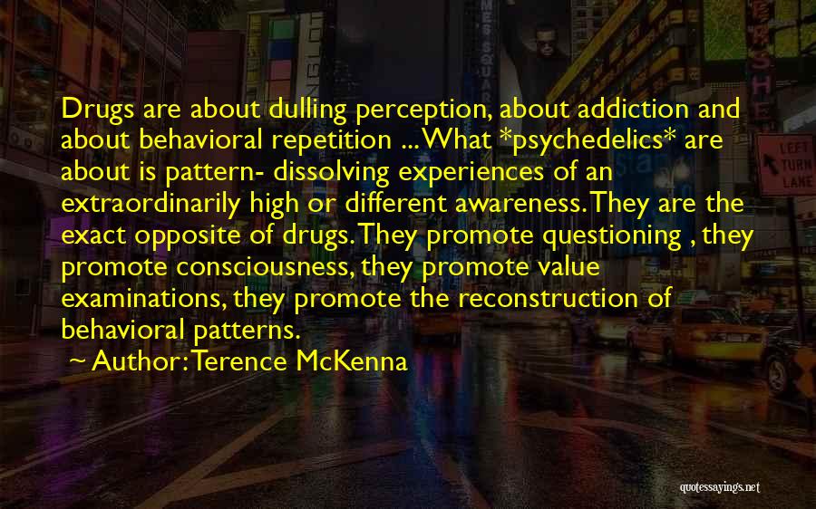 An Addiction To Someone Quotes By Terence McKenna