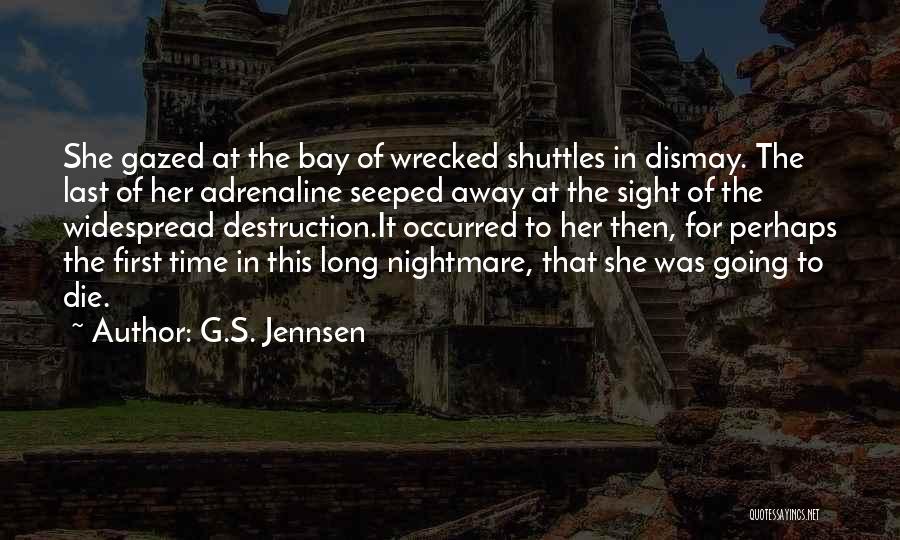 An Adventure In Space And Time Quotes By G.S. Jennsen