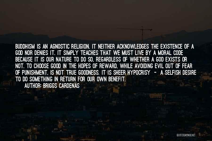 An Agnostic Quotes By Briggs Cardenas