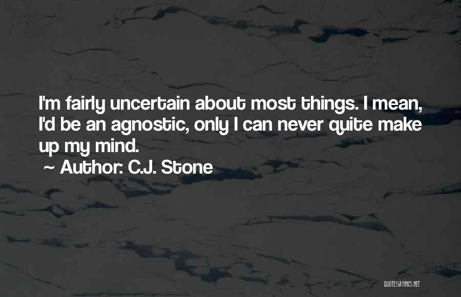 An Agnostic Quotes By C.J. Stone
