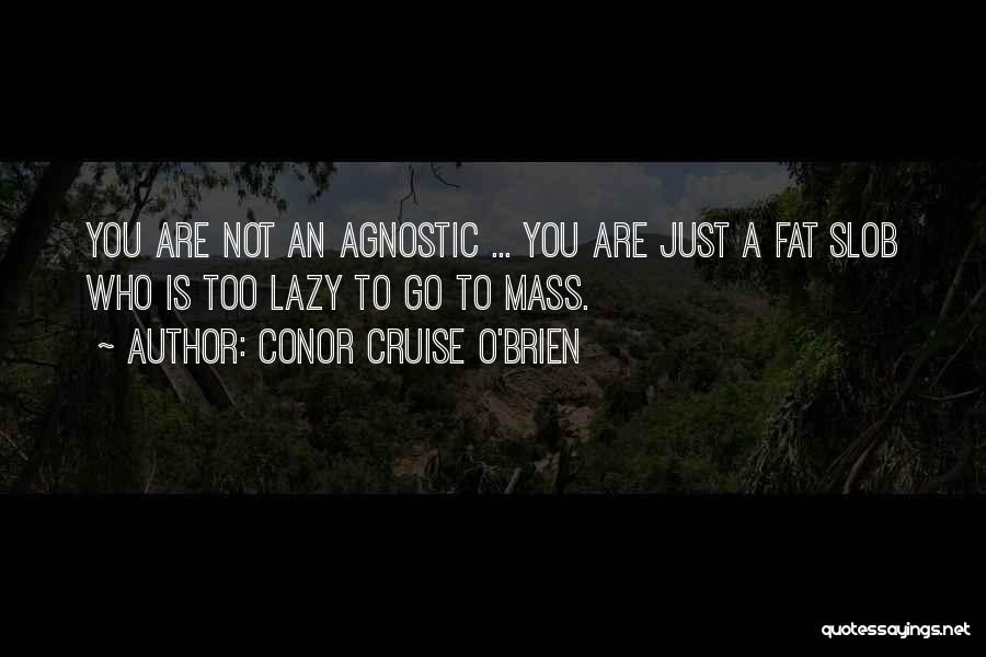 An Agnostic Quotes By Conor Cruise O'Brien