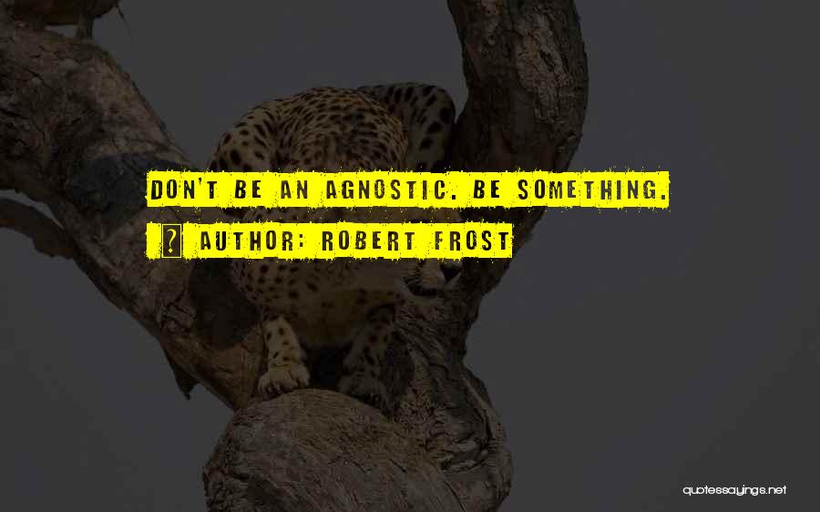 An Agnostic Quotes By Robert Frost