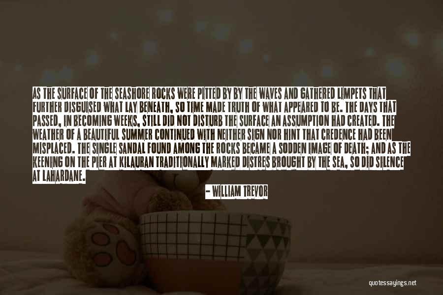 An Amazing Boss Quotes By William Trevor An Amazing Boss Quotes By William Trevor