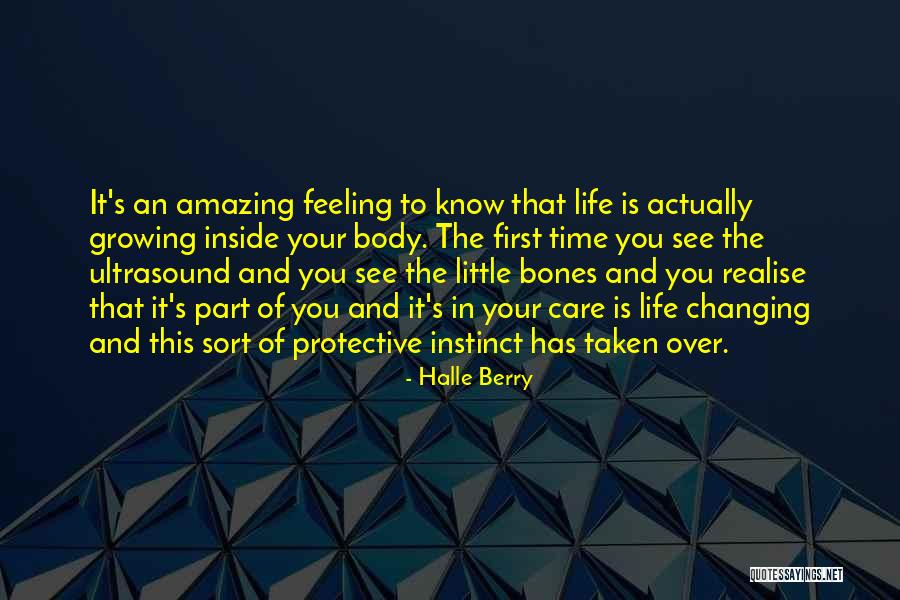 An Amazing Life Quotes By Halle Berry An Amazing Life Quotes By Halle Berry