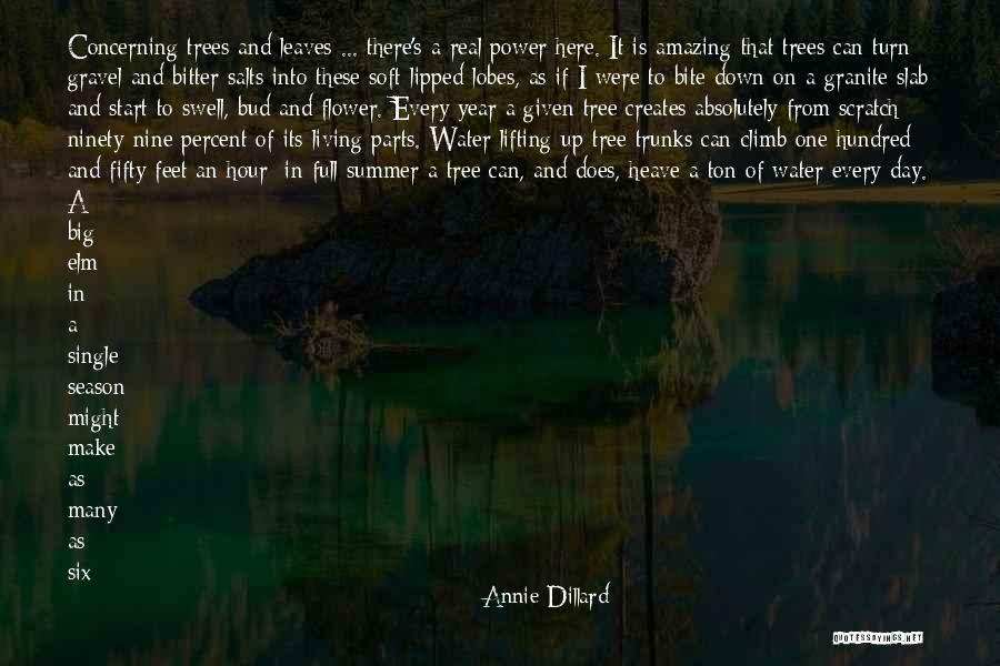 An Amazing Person Quotes By Annie Dillard An Amazing Person Quotes By Annie Dillard