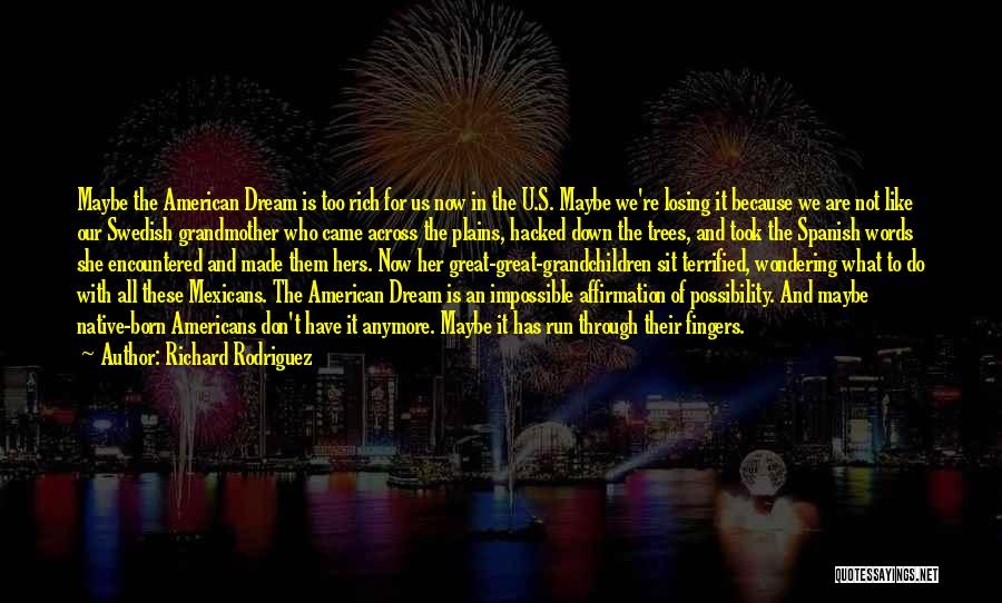 An American Dream Quotes By Richard Rodriguez