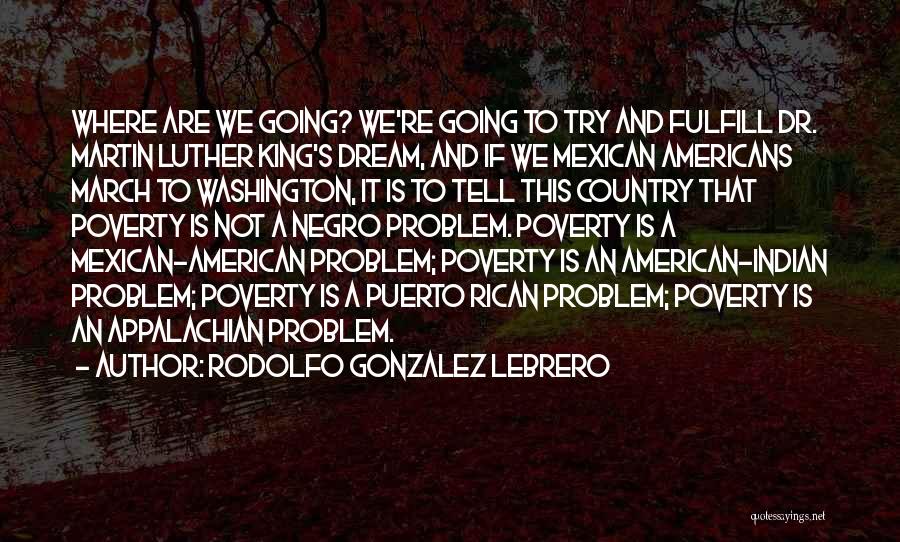 An American Dream Quotes By Rodolfo Gonzalez Lebrero