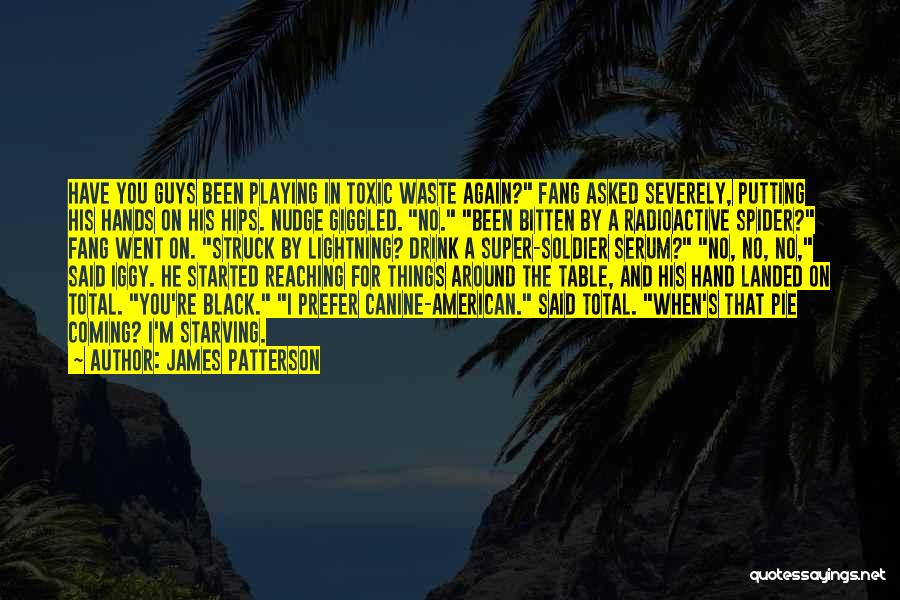 An American Soldier Quotes By James Patterson