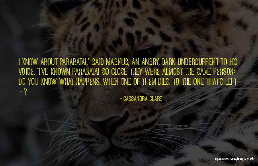 An Angry Person Quotes By Cassandra Clare An Angry Person Quotes By Cassandra Clare