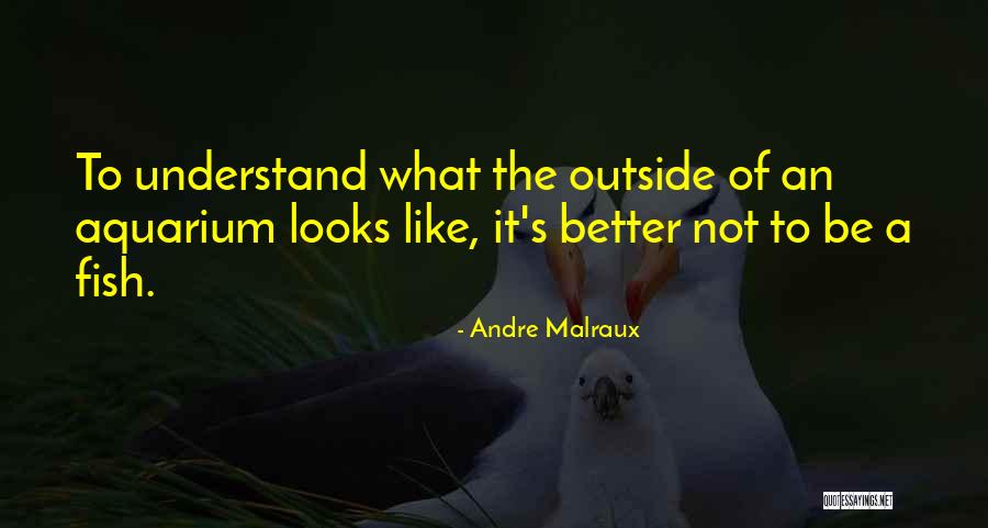 An Aquarium Quotes By Andre Malraux An Aquarium Quotes By Andre Malraux