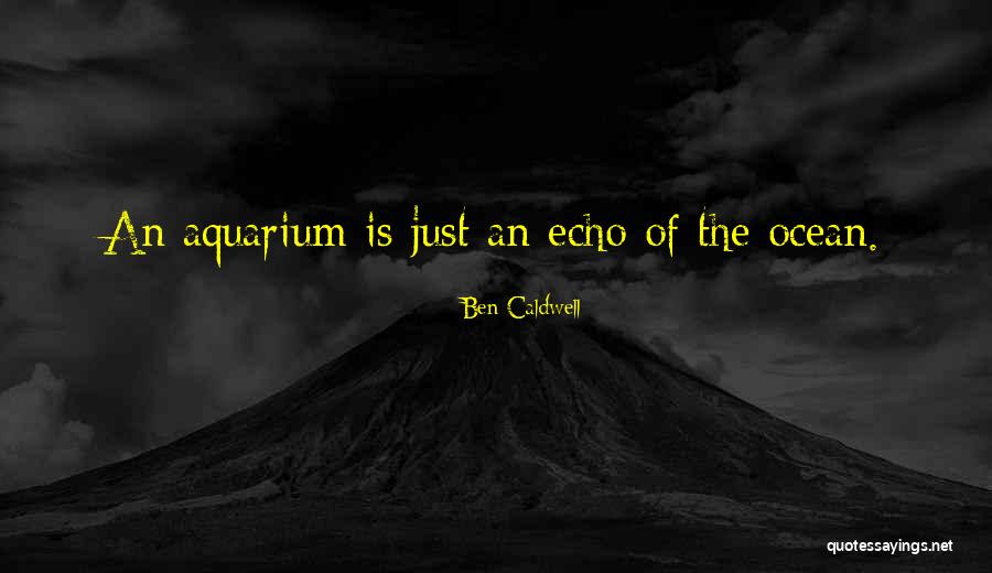 An Aquarium Quotes By Ben Caldwell An Aquarium Quotes By Ben Caldwell