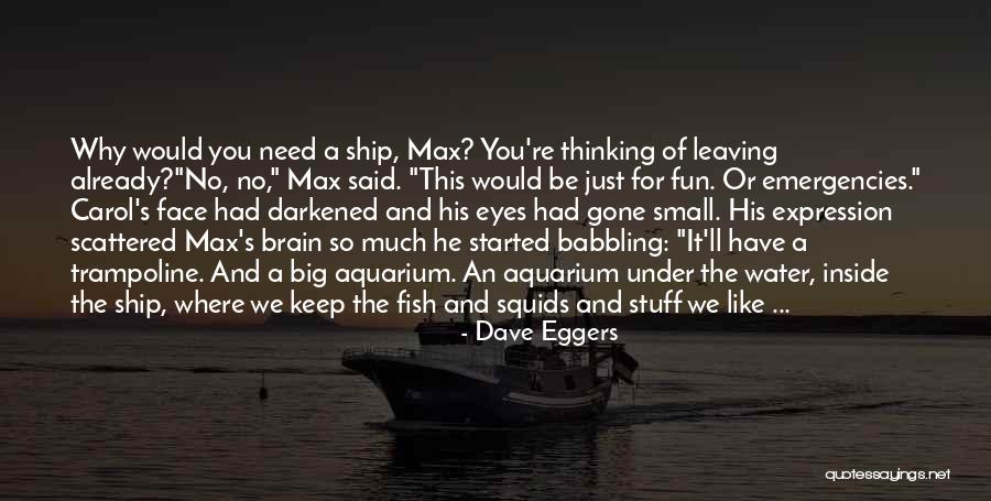 An Aquarium Quotes By Dave Eggers An Aquarium Quotes By Dave Eggers