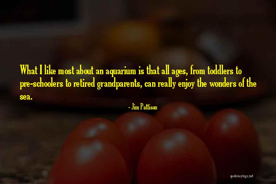 An Aquarium Quotes By Jim Pattison An Aquarium Quotes By Jim Pattison