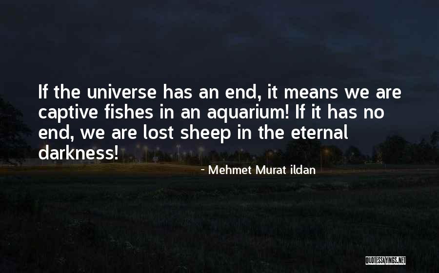 An Aquarium Quotes By Mehmet Murat Ildan An Aquarium Quotes By Mehmet Murat Ildan