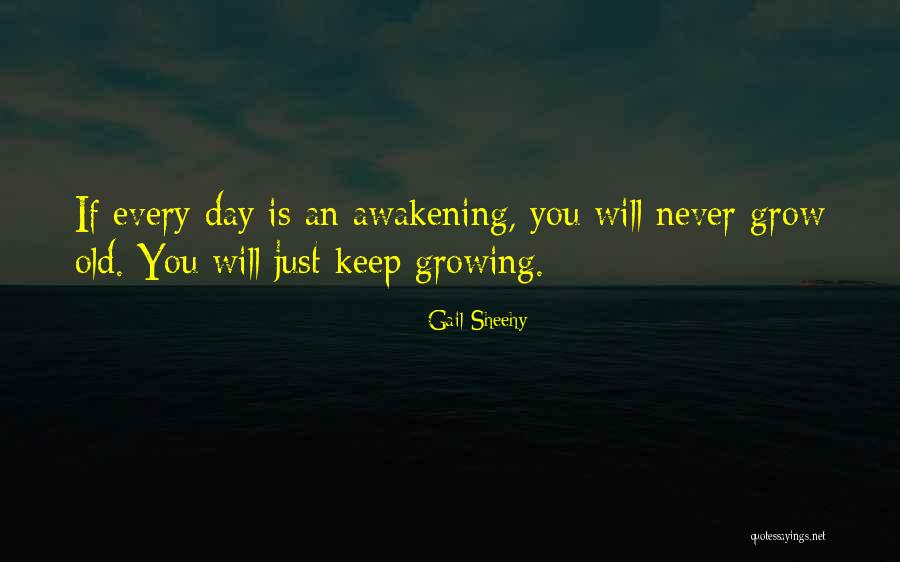 An Awakening Quotes By Gail Sheehy An Awakening Quotes By Gail Sheehy