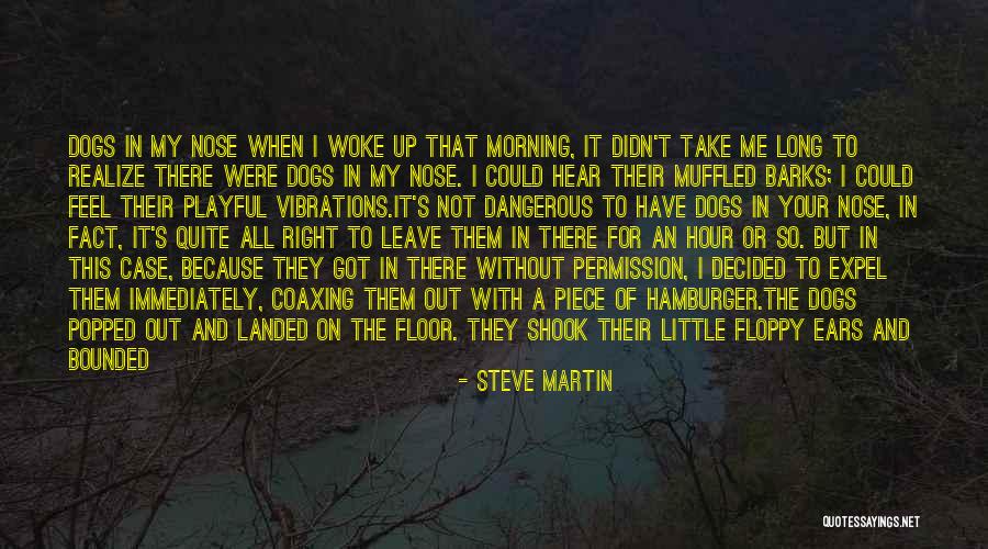 An Awakening Quotes By Steve Martin An Awakening Quotes By Steve Martin