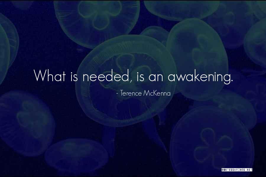 An Awakening Quotes By Terence McKenna An Awakening Quotes By Terence McKenna