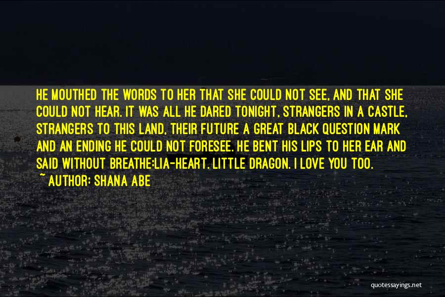 An Ending Love Quotes By Shana Abe