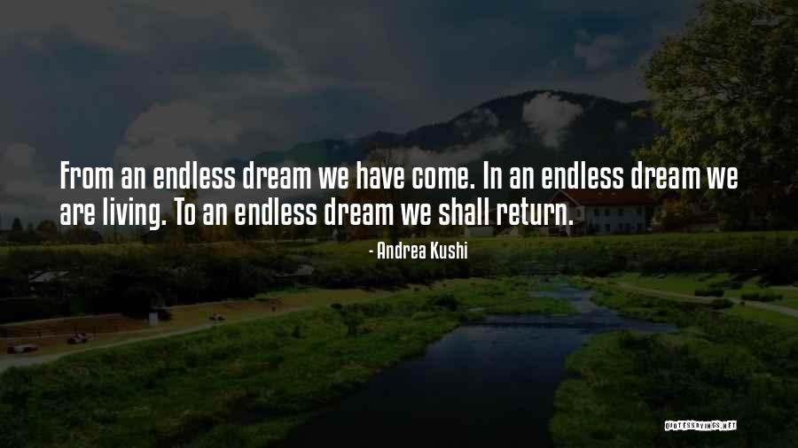 An Endless Love Quotes By Andrea Kushi