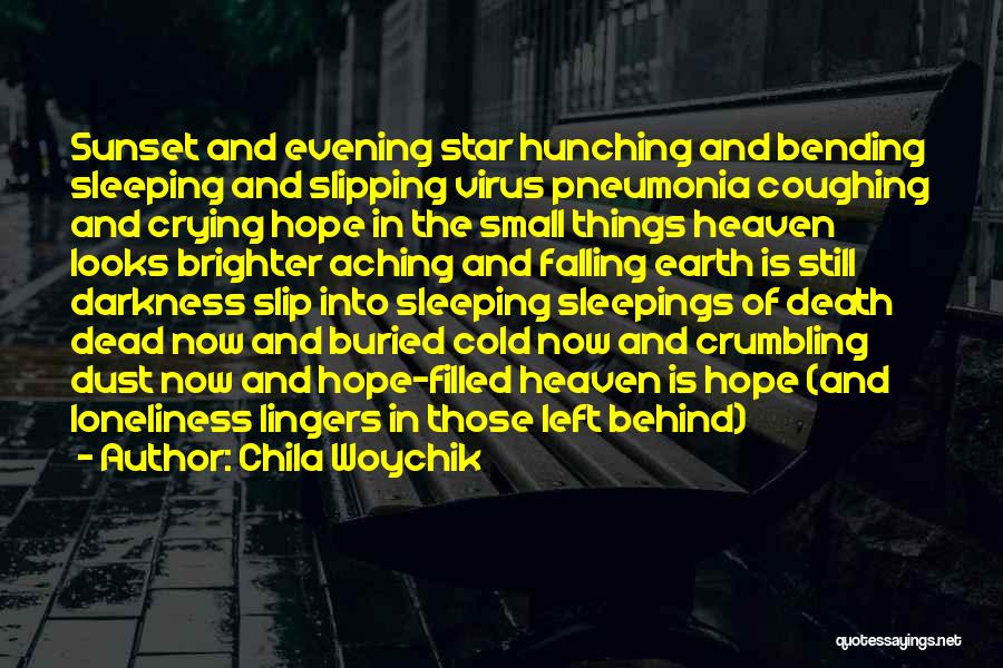 An Evening Star Quotes By Chila Woychik