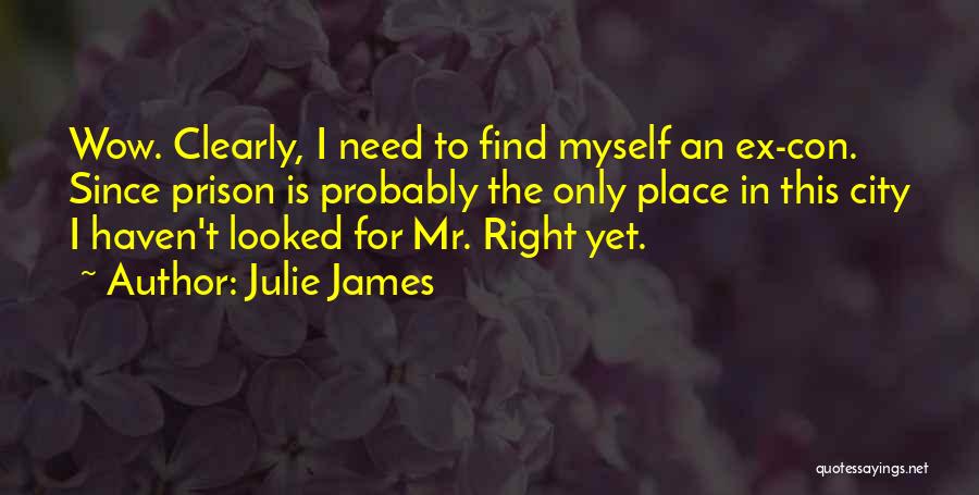 An Ex Quotes By Julie James