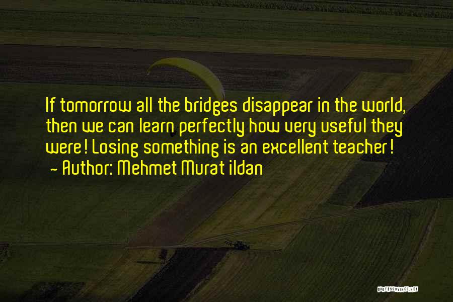 An Excellent Teacher Quotes By Mehmet Murat Ildan