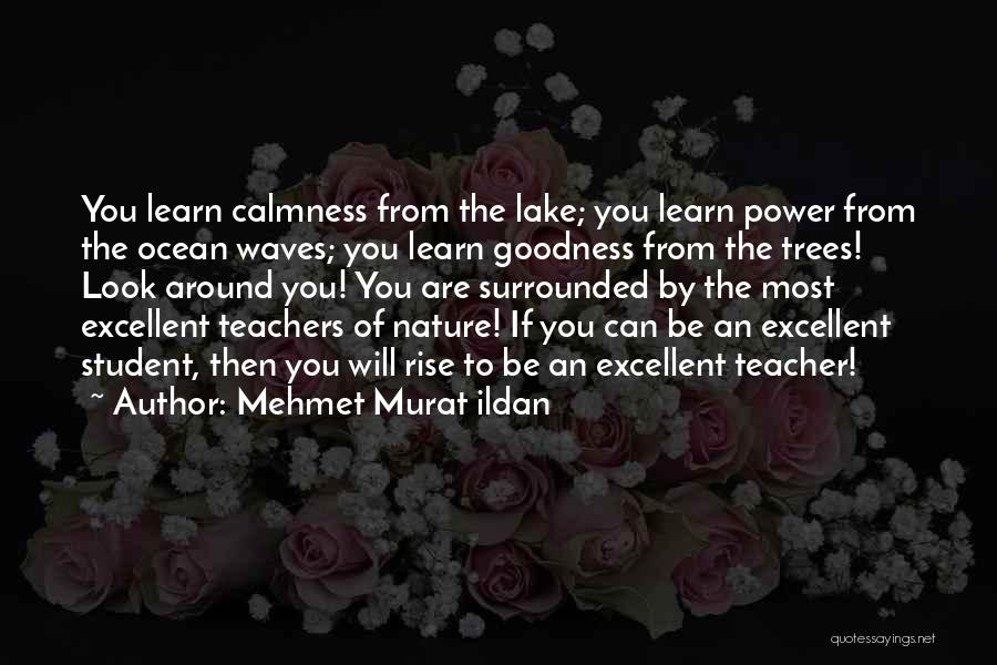 An Excellent Teacher Quotes By Mehmet Murat Ildan