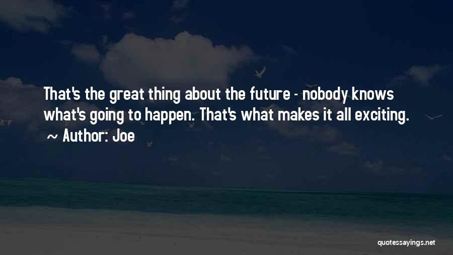 An Exciting Future Quotes By Joe